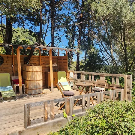 Kemp En Bois Avec Jacuzzi Prive Et Piscine