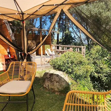 Kemp En Bois Avec Jacuzzi Prive Et Piscine Porto-Vecchio (Corsica)