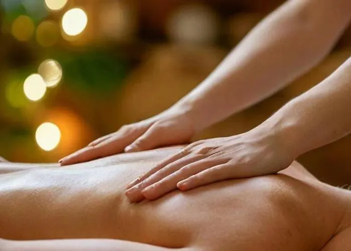 En Bois Avec Jacuzzi Prive Et Piscine 营地 维琪奥港